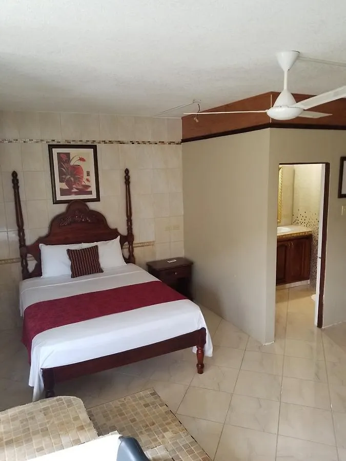 Wizzy Apartment Ocho Rios