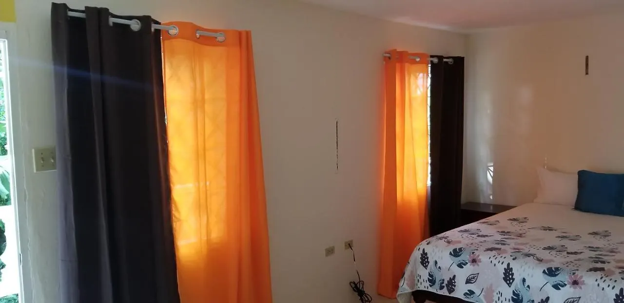 Wizzy Apartment Ocho Rios