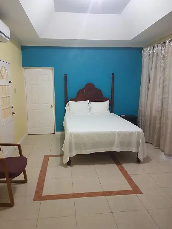 Wizzy Apartment Ocho Rios
