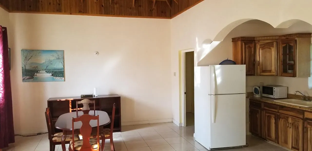 Wizzy Apartment Ocho Rios Jamaika