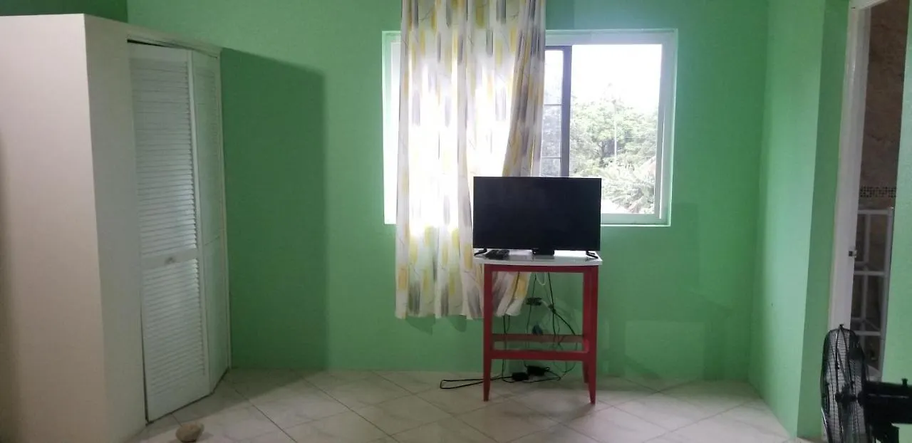 Wizzy Apartment Ocho Rios