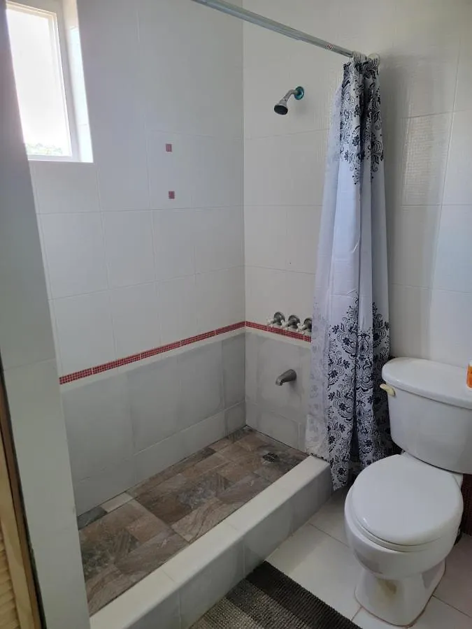 Wizzy Apartment Ocho Rios