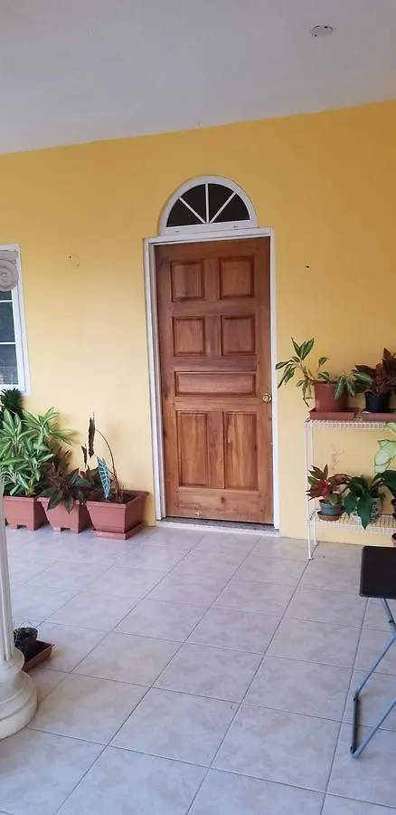 Wizzy Apartment Ocho Rios