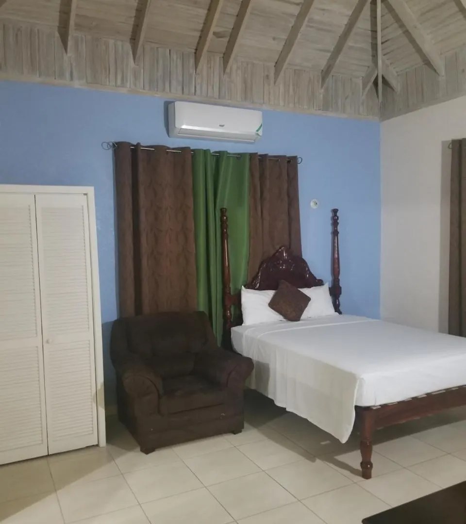 Wizzy Apartment Ocho Rios 0*,  Jamaica